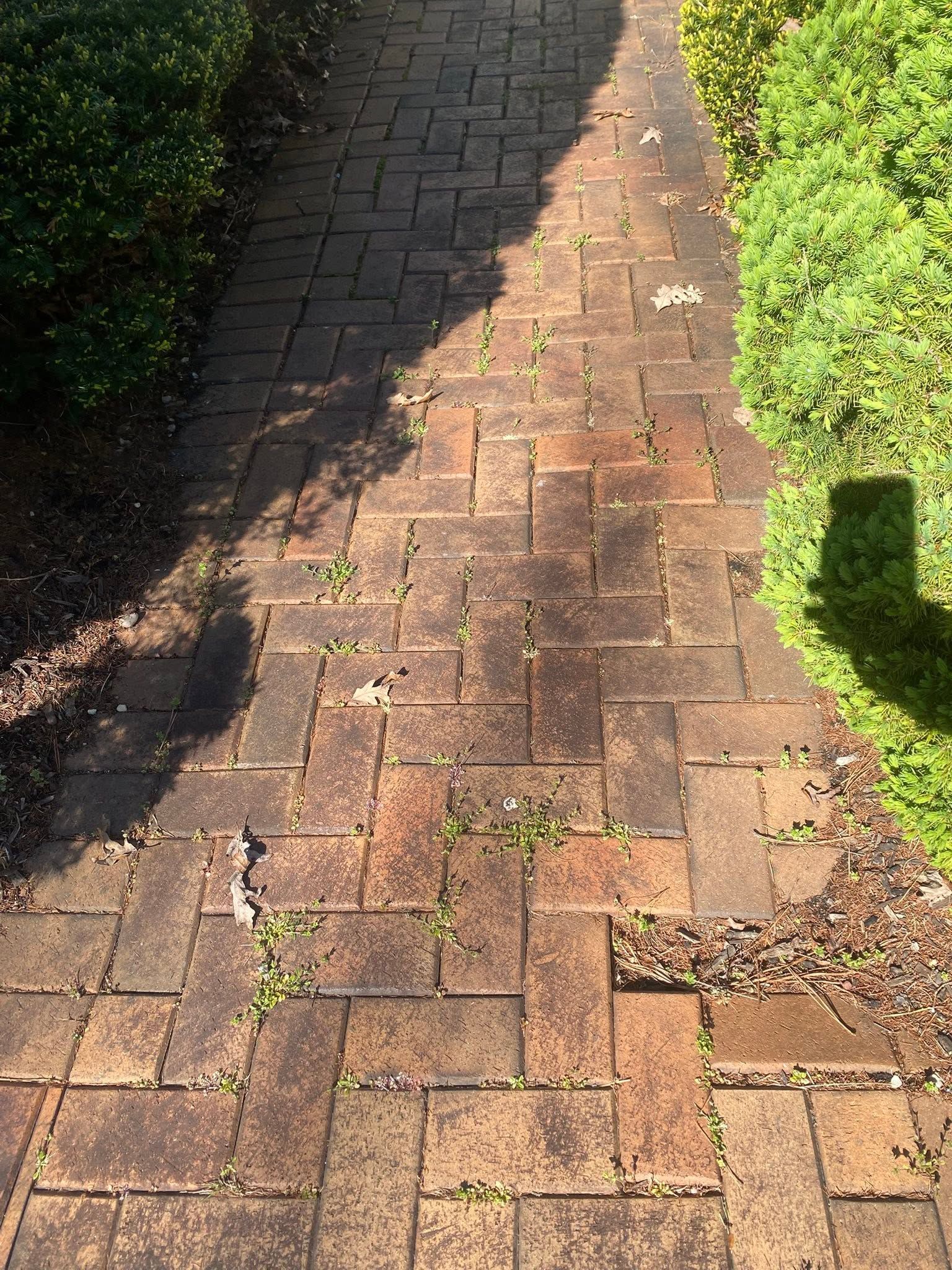 Before and after example - before
